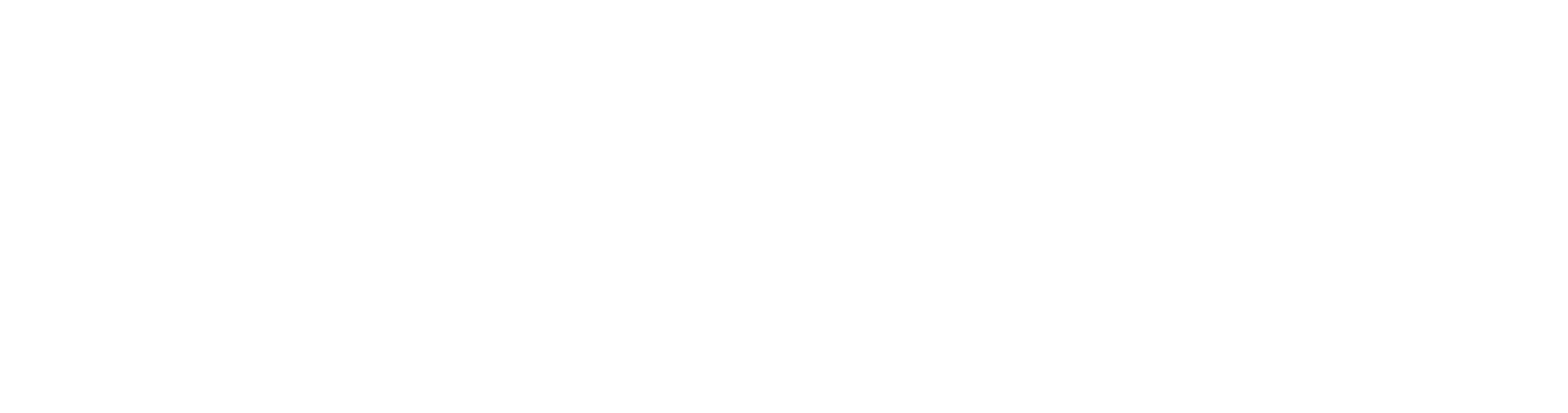 Dr Diego de Souza